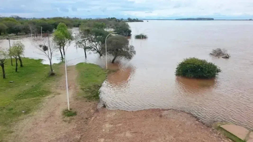 Zona ribereña cubierta por agua durante la crecida de los ríos Paraná y Uruguay